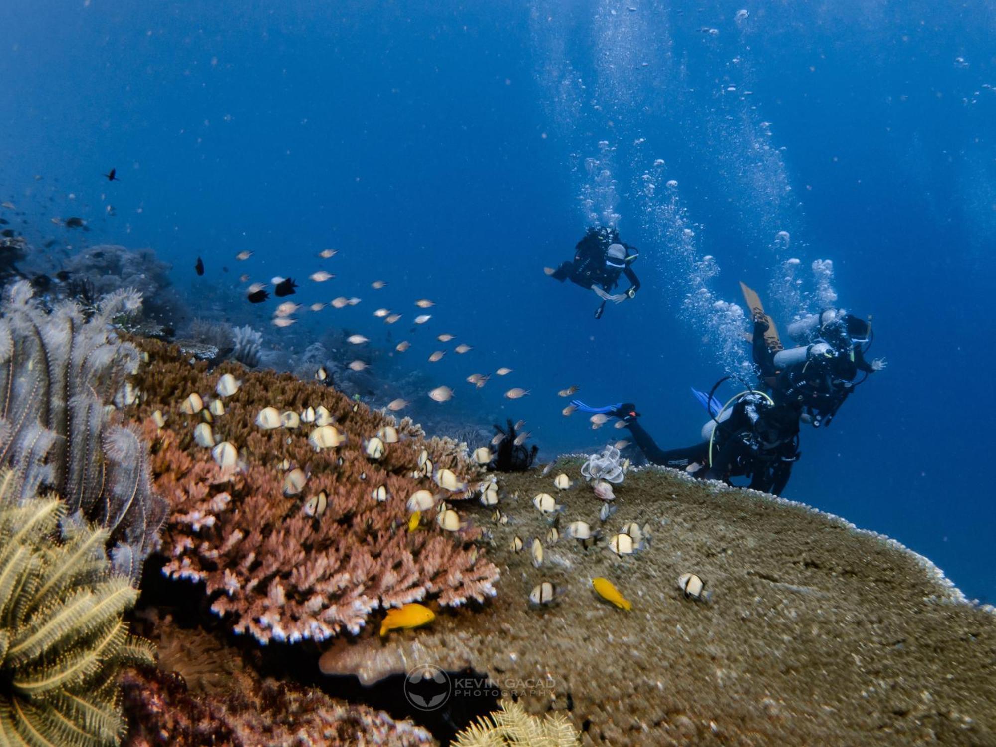 Badladz Beach And Dive Resort Пуерто Галера Екстериор снимка